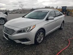 5NPE24AF0GH359260 2016 HYUNDAI SONATA