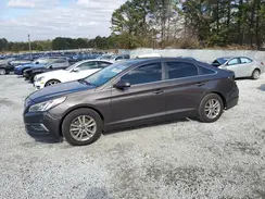 5NPE24AF0GH360537 2016 HYUNDAI SONATA
