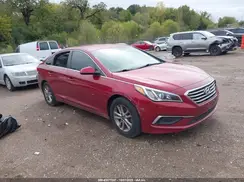 5NPE24AF0GH360568 2016 HYUNDAI SONATA