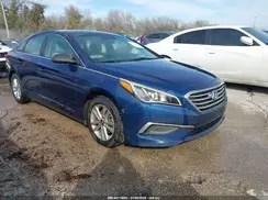 5NPE24AF0GH364281 2016 HYUNDAI SONATA