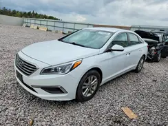 5NPE24AF0GH375538 2016 HYUNDAI SONATA