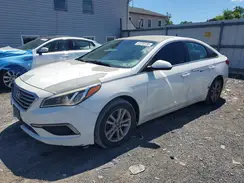 5NPE24AF0GH383851 2016 HYUNDAI SONATA