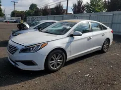5NPE24AF0GH385566 2016 HYUNDAI SONATA