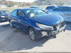 5NPE24AF0GH387558 2016 HYUNDAI SONATA