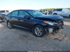 5NPE24AF0GH390251 2016 HYUNDAI SONATA