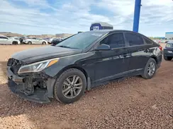 5NPE24AF0GH391206 2016 HYUNDAI SONATA