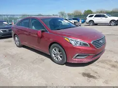 5NPE24AF0GH391514 2016 HYUNDAI SONATA