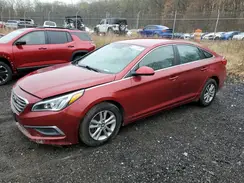 5NPE24AF0GH394140 2016 HYUNDAI SONATA