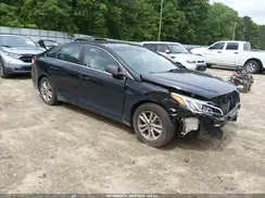 5NPE24AF0GH398687 2016 HYUNDAI SONATA