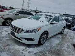 5NPE24AF0GH398916 2016 HYUNDAI SONATA