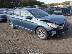 5NPE24AF0GH400146 2016 HYUNDAI SONATA