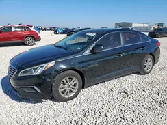 5NPE24AF0GH412443 2016 HYUNDAI SONATA