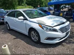 5NPE24AF0GH423555 2016 HYUNDAI SONATA
