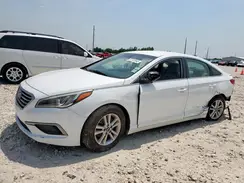 5NPE24AF0GH425905 2016 HYUNDAI SONATA