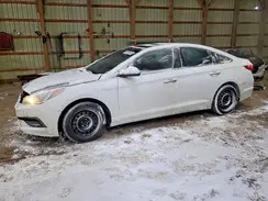 5NPE24AF0GH427914 2016 HYUNDAI SONATA