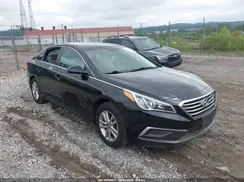 5NPE24AF0GH427959 2016 HYUNDAI SONATA