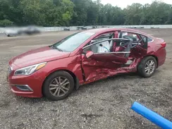 5NPE24AF0GH428030 2016 HYUNDAI SONATA