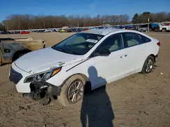 5NPE24AF0HH439174 2017 HYUNDAI SONATA