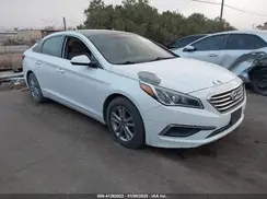 5NPE24AF0HH440339 2017 HYUNDAI SONATA
