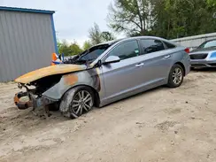 5NPE24AF0HH443127 2017 HYUNDAI SONATA