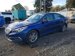 5NPE24AF0HH446061 2017 HYUNDAI SONATA