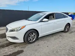 5NPE24AF0HH488889 2017 HYUNDAI SONATA