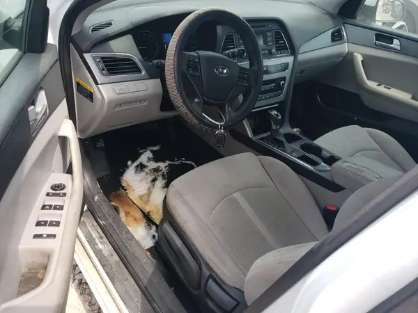 5NPE24AF0HH490030 2017 HYUNDAI SONATA - Image 8