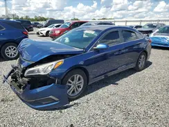 5NPE24AF0HH492313 2017 HYUNDAI SONATA