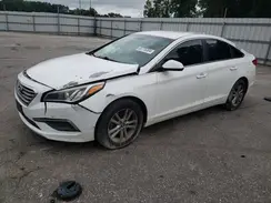 5NPE24AF0HH492828 2017 HYUNDAI SONATA