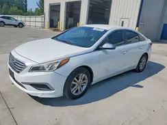 5NPE24AF0HH499164 2017 HYUNDAI SONATA