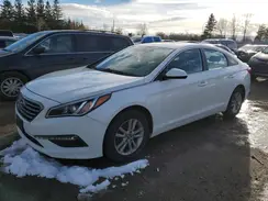 5NPE24AF0HH501317 2017 HYUNDAI SONATA