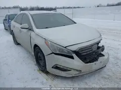 5NPE24AF0HH501334 2017 HYUNDAI SONATA