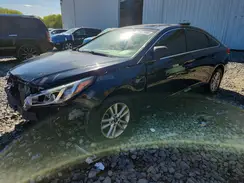 5NPE24AF0HH504668 2017 HYUNDAI SONATA