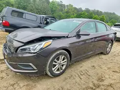 5NPE24AF0HH509837 2017 HYUNDAI SONATA