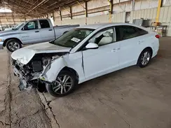5NPE24AF0HH511331 2017 HYUNDAI SONATA