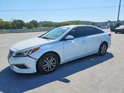 5NPE24AF0HH517131 2017 HYUNDAI SONATA