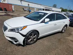 5NPE24AF0HH521924 2017 HYUNDAI SONATA