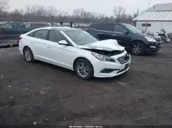 5NPE24AF0HH528923 2017 HYUNDAI SONATA