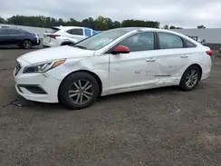 5NPE24AF0HH533698 2017 HYUNDAI SONATA
