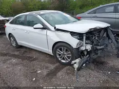 5NPE24AF0HH535239 2017 HYUNDAI SONATA