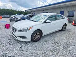 5NPE24AF0HH535953 2017 HYUNDAI SONATA