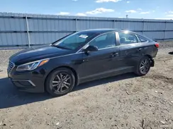 5NPE24AF0HH551666 2017 HYUNDAI SONATA