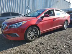 5NPE24AF0HH551831 2017 HYUNDAI SONATA
