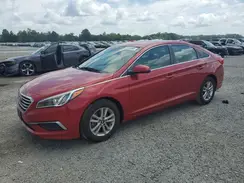 5NPE24AF0HH579077 2017 HYUNDAI SONATA