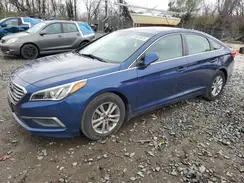 5NPE24AF0HH593299 2017 HYUNDAI SONATA
