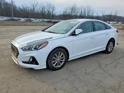 5NPE24AF0JH595964 2018 HYUNDAI SONATA