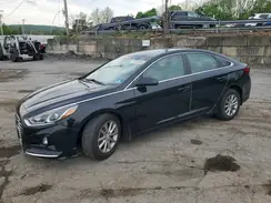 5NPE24AF0JH721126 2018 HYUNDAI SONATA