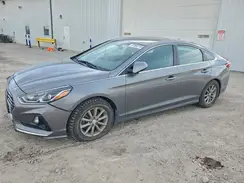 5NPE24AF0KH741118 2019 HYUNDAI SONATA