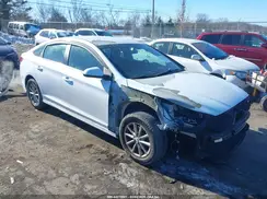 5NPE24AF0KH743659 2019 HYUNDAI SONATA