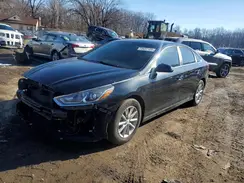 5NPE24AF0KH745119 2019 HYUNDAI SONATA